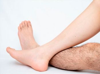Legs